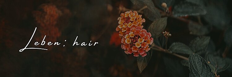 レーベン(Leben)のサロンヘッダー