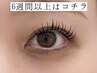 【前回来店から6週間以上◯】潤いトリートメントまつ毛パーマ¥7000