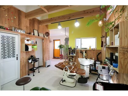 キャラバン(caravan)の写真