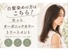 【この夏限定】 カット+オーガニックカラー+生オイルトリートメント¥14000