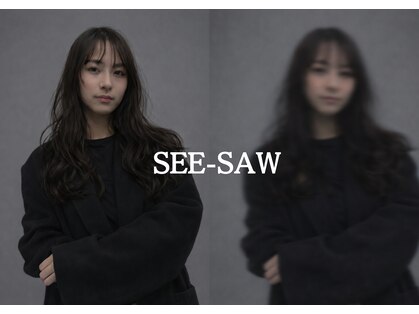 シーソー(SEE-SAW)の写真