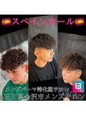 スペインカール