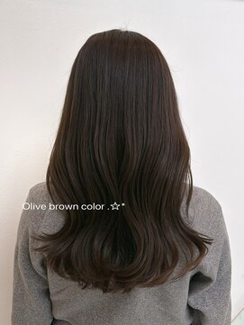 デイジー(Daisy) Olive brown color ____