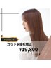 カット+プレミアム縮毛矯正+シャンプー￥19800