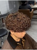 プードルパーマ