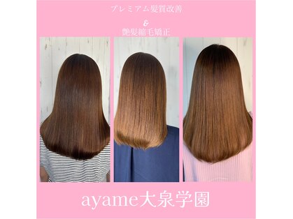 アヤメ(ayame)の写真
