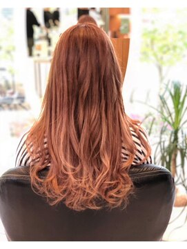 メトセラ ポロロッカ オータムピンクグラデーション