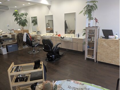 ササ(SASA)の写真