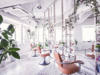 アシャ ヘアー ソリューション 神戸店(asha hair solution)の写真