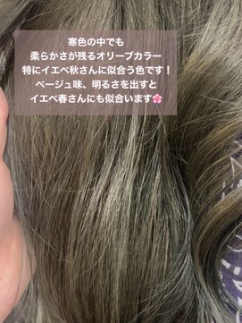 イエベ高発色ブリーチ無しダブルカラーオリーブ