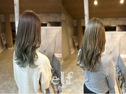 エルフグローリー(elf -glory-)の写真