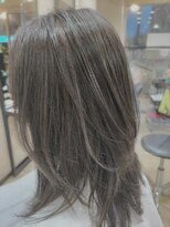 エイチ エアー ダヴ H air DAV調布北口&nbsp;白髪ぼかしハイライト　シルバーアッシュ