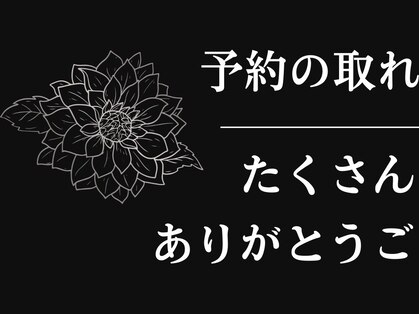 ダリア(Dahlia)の写真