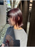 bob × red brown