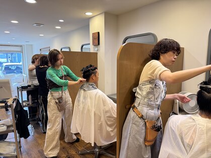 ルートヴィッヒ(Ludwig)の写真