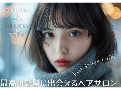 エシレ(esille.)の写真