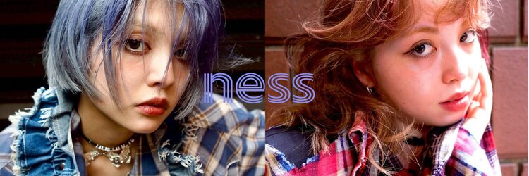ネス(ness)のサロンヘッダー