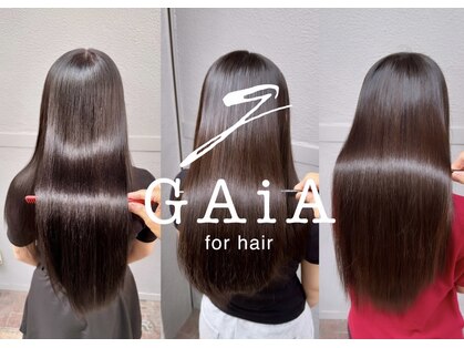 ガイア フォー ヘアー(GAiA for hair)の写真