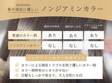 リシェス(RICHESSE)の雰囲気（【ノンジアミンカラー】美容室のカラーでお困りの方にオススメ★）