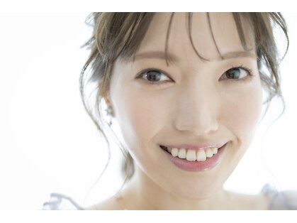 ダリア(Dahlia)の写真