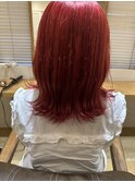 カーデナルレッドカラー