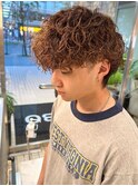 プードルパーマ