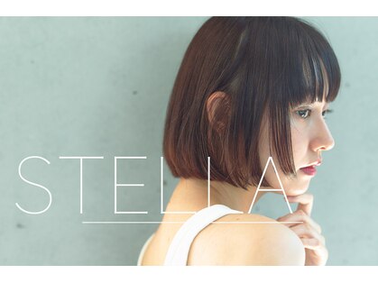 ステラ(stella)の写真