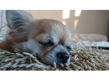 朔の雰囲気（朔ちゃん（は、常駐しておりません））