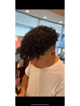 スイート(Suite) プードル×スペインカール