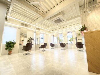 Hair salon Domina deux