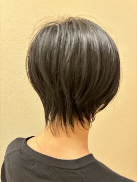 シャンプーボーイ ウルフ