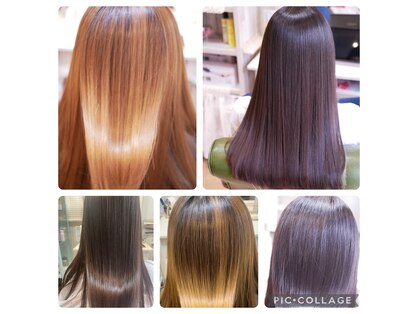 シュシュ(Chou Chou)の写真