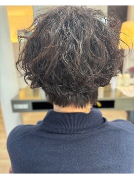 ビーズ ノイ(BEE´Z ＮＥＵ) ショートウェーブスタイル2.7ダークアッシュ