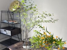 カウチソフ(kauti sofu)の雰囲気（居心地の良いひとときを♪[髪質改善/ショートカット/カラー]）
