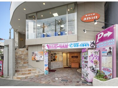 お店は姉妹店のドックサロンが１Ｆで美容室は２Ｆになります。