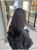 韓国 ショコラブラウン 成城