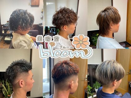 ブルーム(bloom)の写真