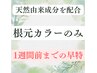 《1週間前までのご予約で》根本カラー ＋TR 　￥9800　         　　    