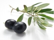 全てのカラーにオリーブスクワランを配合した【高濃度オリーブ美容液カラー】【千葉・千葉駅・髪質改善】