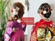 ケイズプラス(K's PLUS)の写真/大切な日の着付けは《K's PLUS》におまかせ◎和装に合わせたヘアセットで“上品さ”をプラスします♪