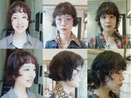 カシカ(casica)の写真