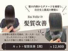 アンフェリール 原島店(Em Fellir)の雰囲気（髪のダメージを内部から補修し、いつまでもキレイに[髪質改善]）