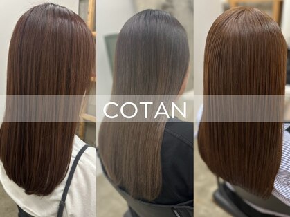 コタン(COTAN)の写真