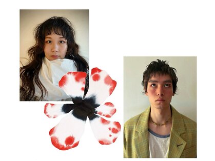 ル サロン LE SALONの写真