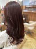 透明感カラー/ココアブラウン/ブリーチなし