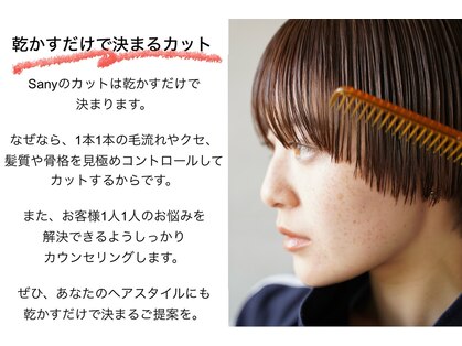 サニー(Sany)の写真