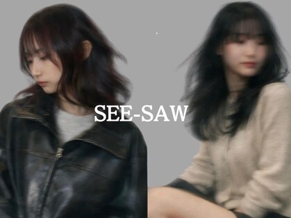 シーソー(SEE-SAW)の写真