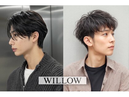 ウィロー(WILLOW)の写真