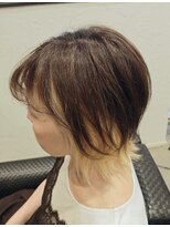 スタジオシージェー(Studio CJ) グレイヘア & インナーダブルカラー