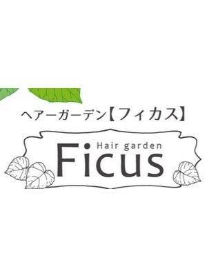 フィカス(Ficus)